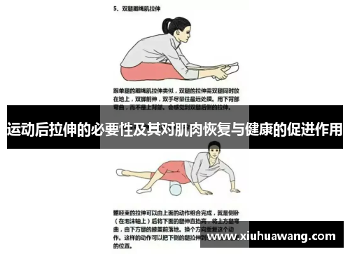 运动后拉伸的必要性及其对肌肉恢复与健康的促进作用