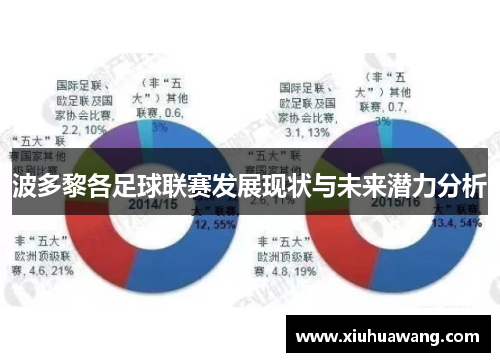 波多黎各足球联赛发展现状与未来潜力分析